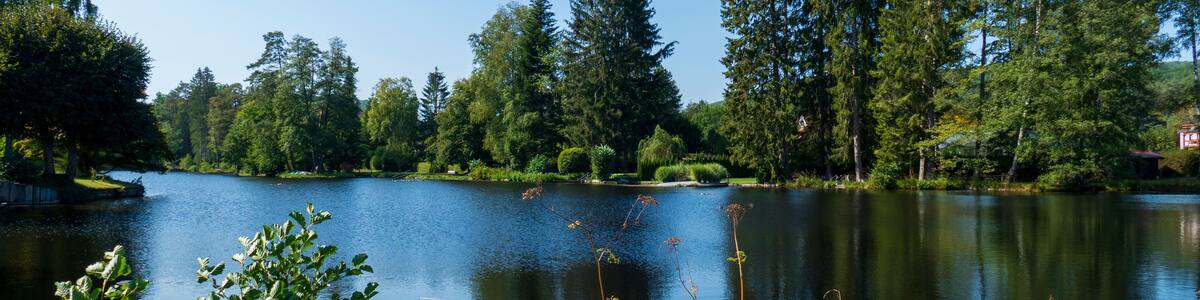 Sägmühlweiher Badesee in Ludwigswinkel in Rheinland Pfalz