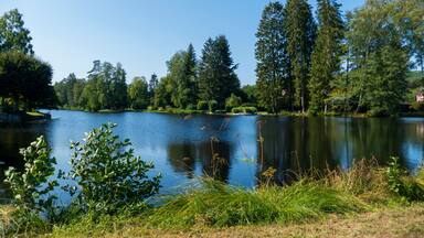 Sägmühlweiher Badesee in Ludwigswinkel in Rheinland Pfalz