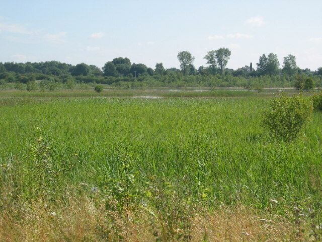 Newman Flash, Wincham / Marston. One of many flashes in this area. Footpaths are well used by local people walking dogs and for recreation a pleasant area.