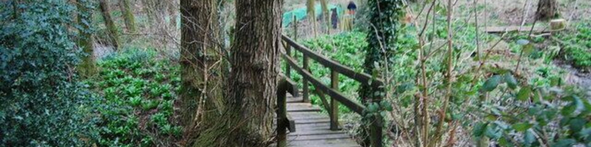 Footpath crosses a stream near Mill Lane