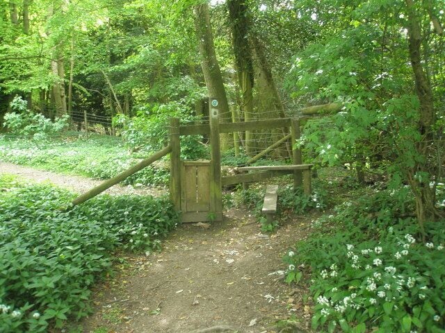 A wooden gate in a forested area with a dirt path leading through it.
