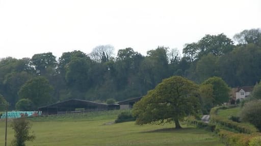 Scotland farm. Hawkley Village is just the other side of the hill. Photo taken looking West.