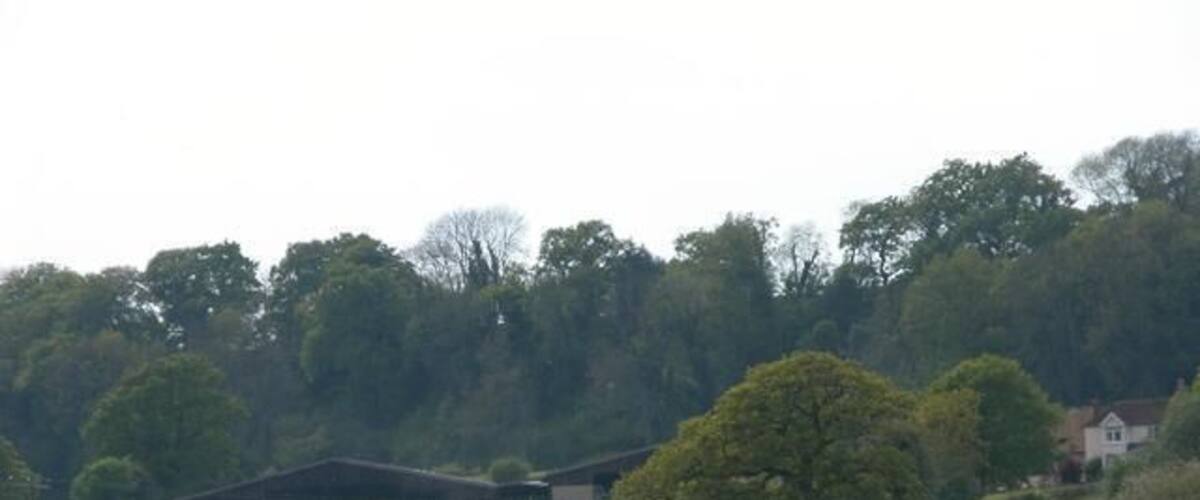 A rural landscape with a large tree, a house, and a field.