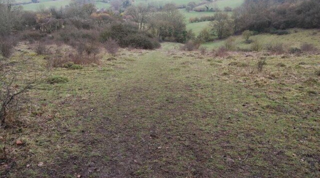 Looking along the Hangers Way down Oakshott Hanger