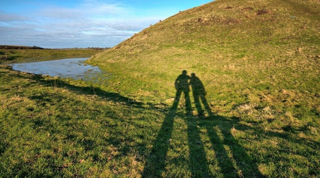 Skipsea Castle remains