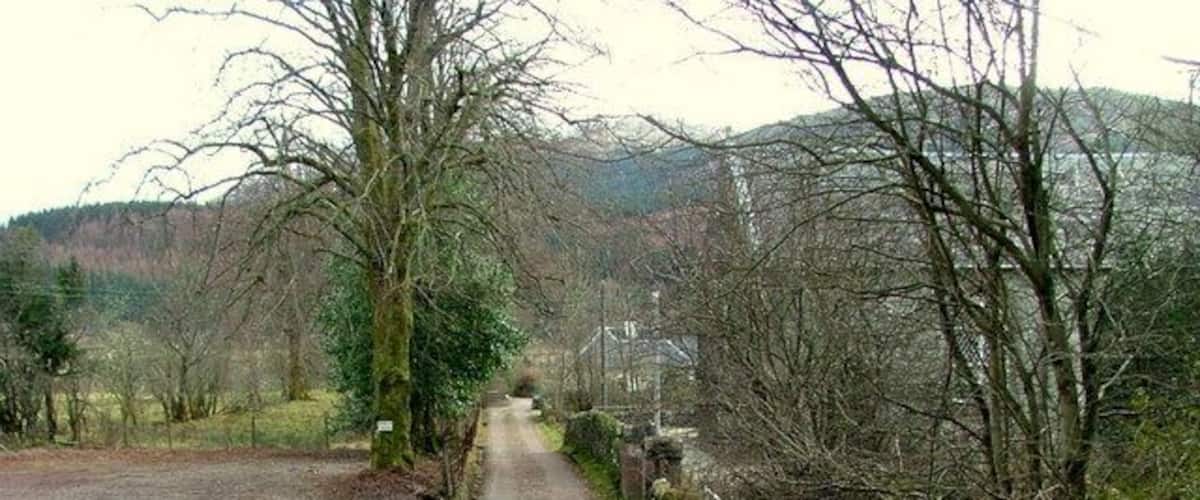 A narrow rural road flanked by leafless trees and a fence, leading towards a bridge over a body of water.