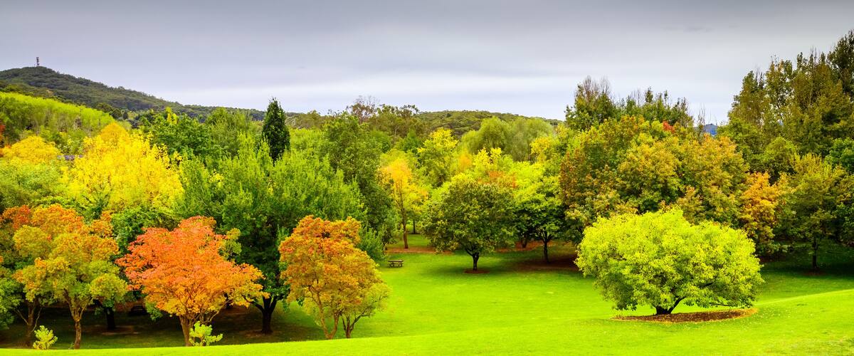 Mount Lofty botanic garden in Autumn, Crafers, South Australia