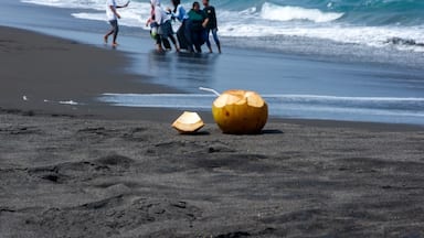 Fresh young coconut on the dark sandy beach in Pantai Dewa Ruci Purworejo, Indonesia