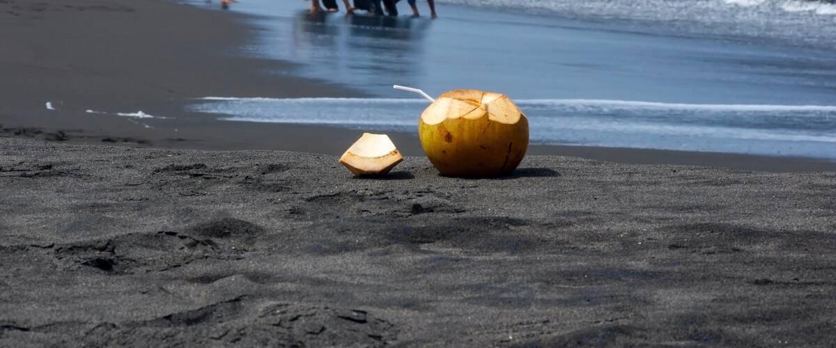 A beach with a coconut on the sand and people in the background.