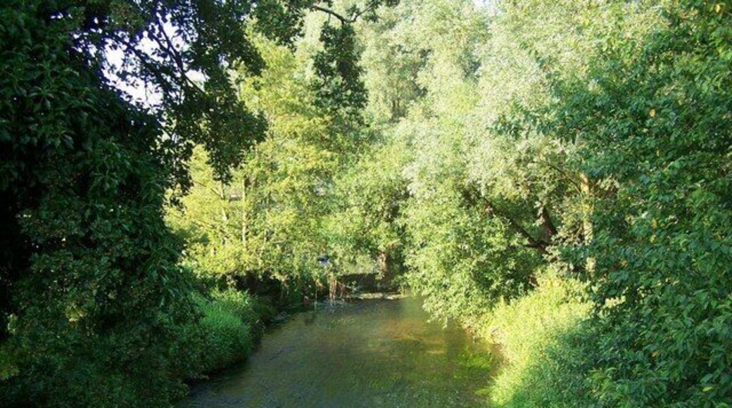 The River Waveney, Homersfield Taken from Homersfield Bridge