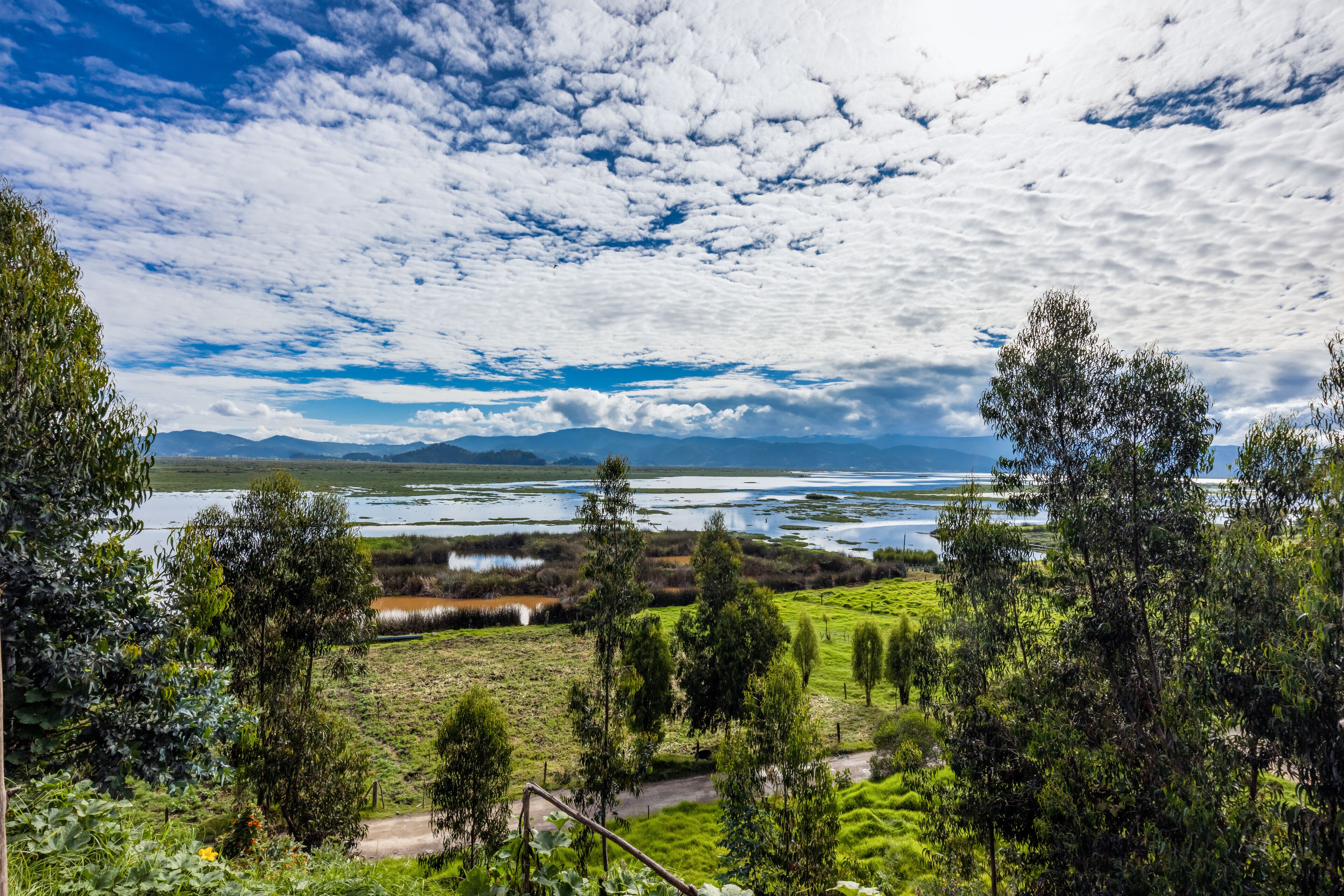 The Fúquene Lagoon is a freshwater body of water located in the town of Fúquene, between the departments of Cundinamarca and Boyacá