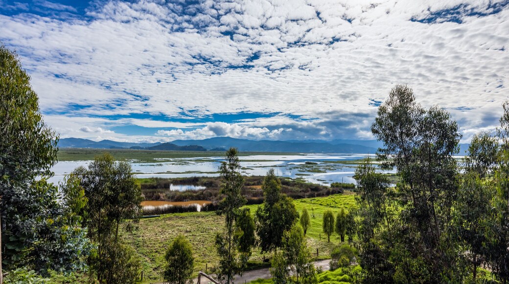 The Fúquene Lagoon is a freshwater body of water located in the town of Fúquene, between the departments of Cundinamarca and Boyacá