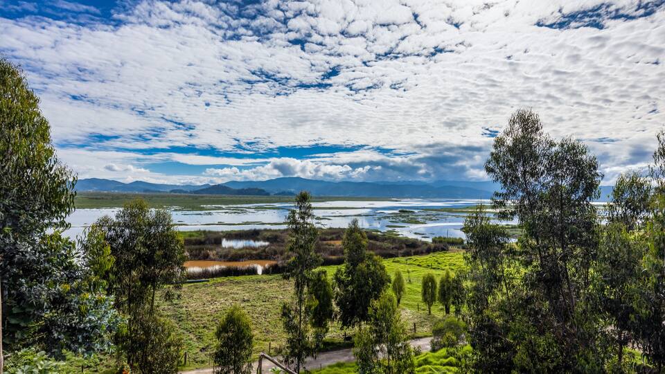 The Fúquene Lagoon is a freshwater body of water located in the town of Fúquene, between the departments of Cundinamarca and Boyacá