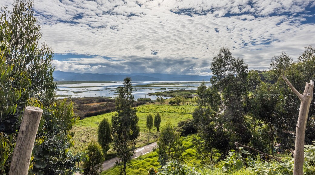 The Fúquene Lagoon is a freshwater body of water located in the town of Fúquene, between the departments of Cundinamarca and Boyacá