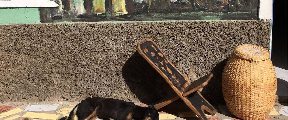 A mural of people playing musical instruments on a wall, a dog lying on the ground, and a woven basket next to a large pot.