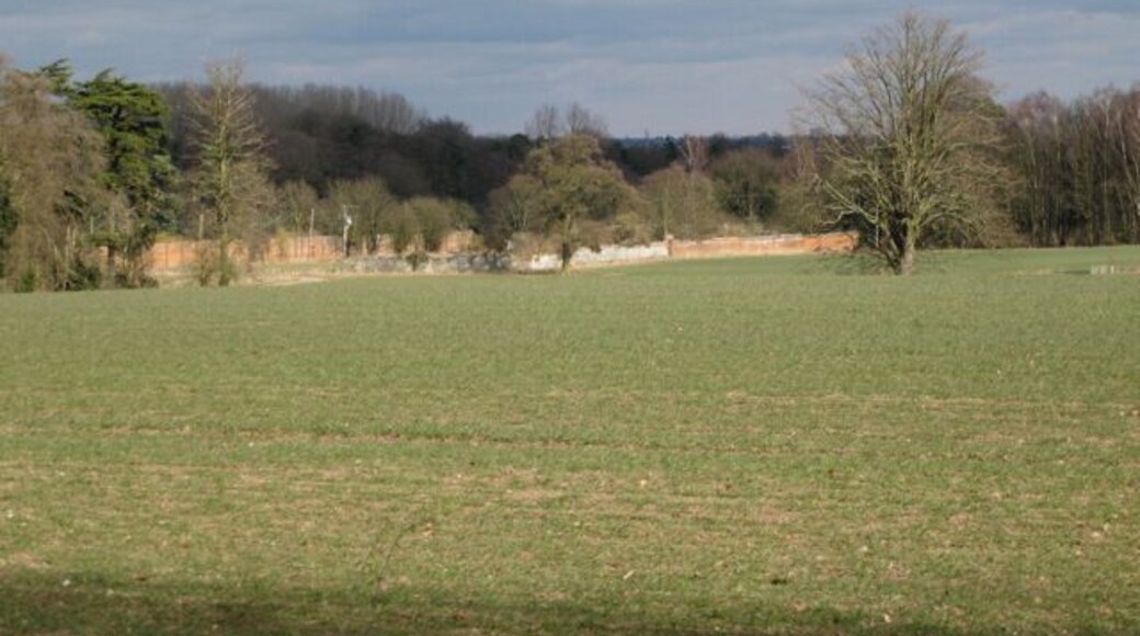 Garden walls, Old Manor Farm, Haseley The former walled gardens were associated with Haseley Old Manor, demolished 1972 http://www.search.windowsonwarwickshire.org.uk/engine/resource/default.asp?theme=&originator=%2Fengine%2Ftheme%2Fdefault%2Easp&page=2&records=21922&direction=1&pointer=9286&text=0&resource=8269 Other property on the site is currently for sale. This view is from Firs Lane by the church.