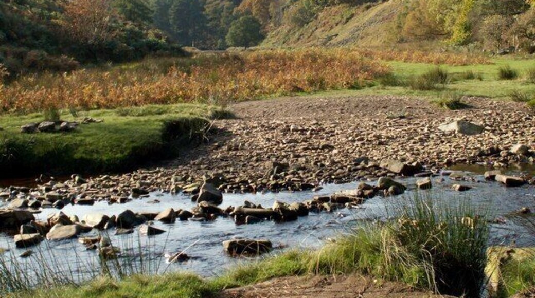 The Little Don River Crookland Wood is seen on the left.