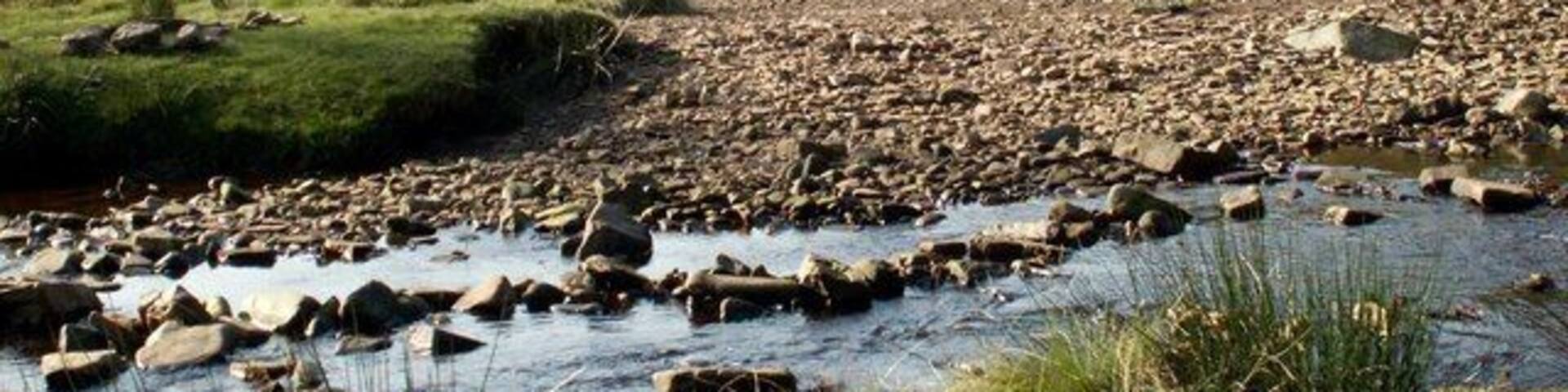 The Little Don River Crookland Wood is seen on the left.