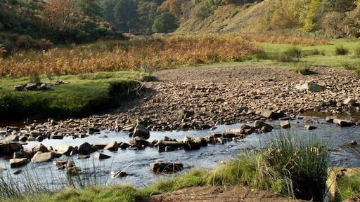 The Little Don River Crookland Wood is seen on the left.
