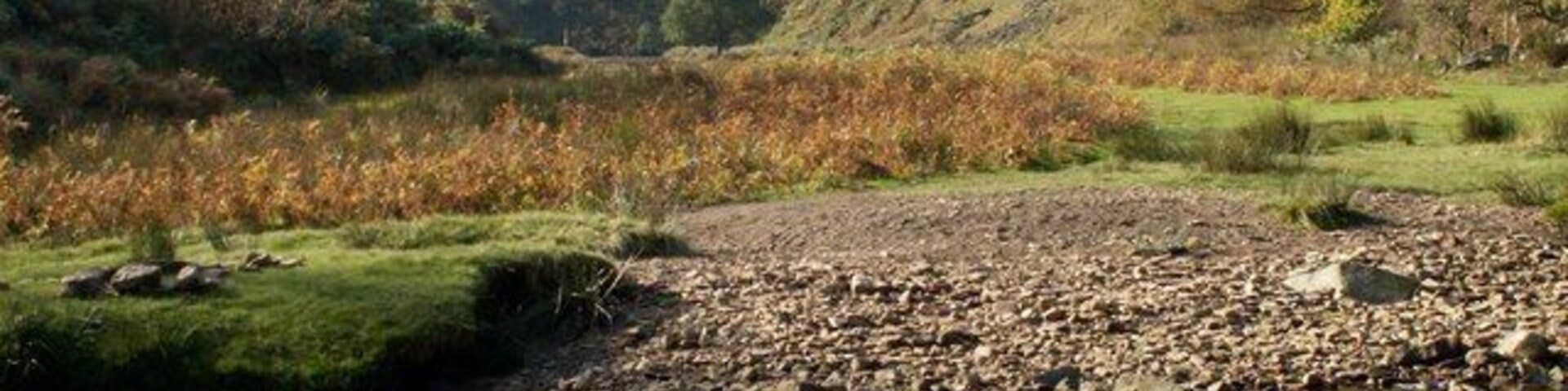 The Little Don River Crookland Wood is seen on the left.