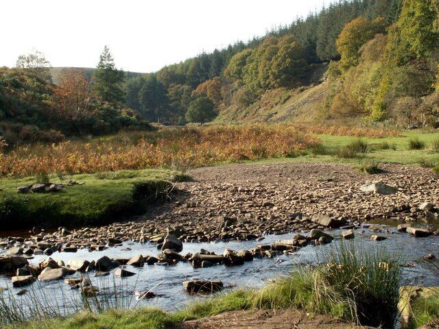 A river with rocks and a grassy area with trees in the background.