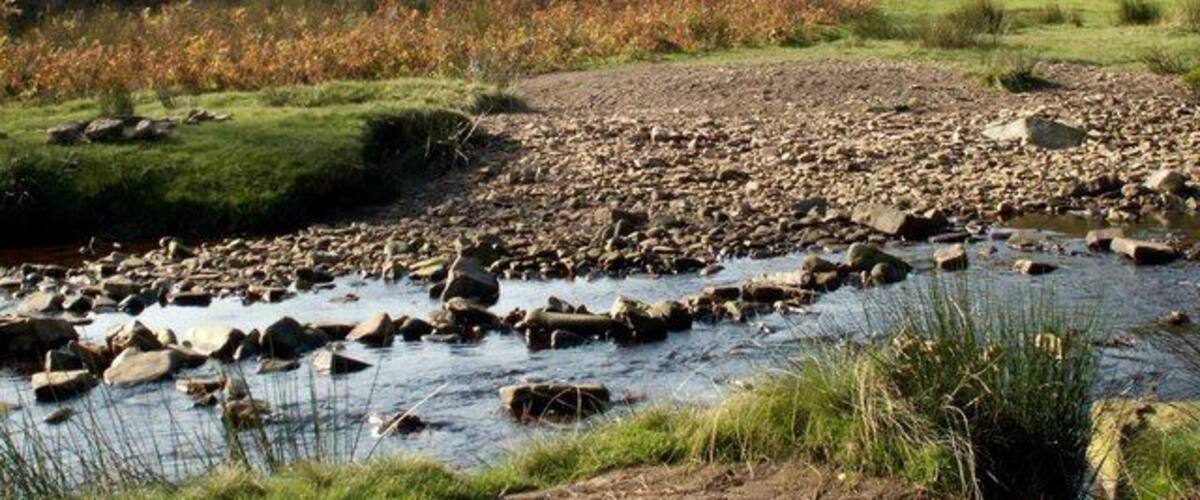 A river with rocks and a grassy area with trees in the background.