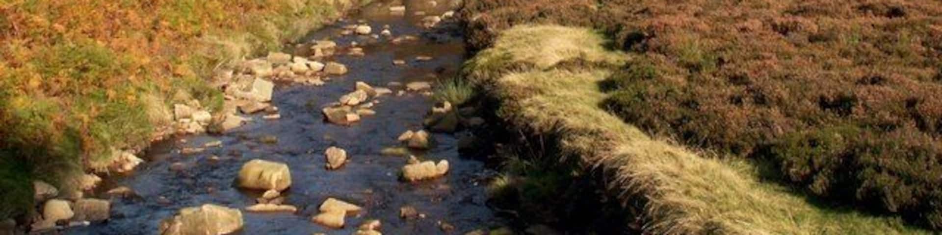 A rocky stream in a hilly area with sparse vegetation.
