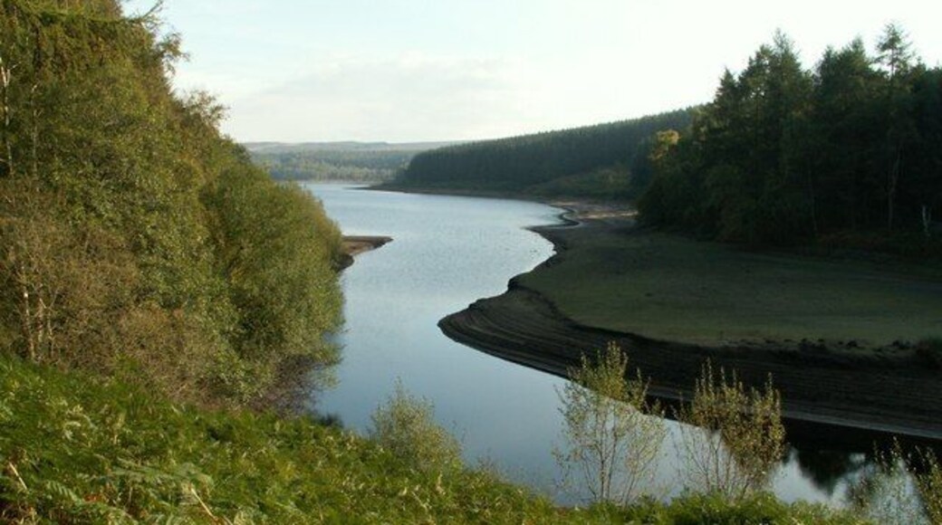 Langsett Reservoir From the west end tip.