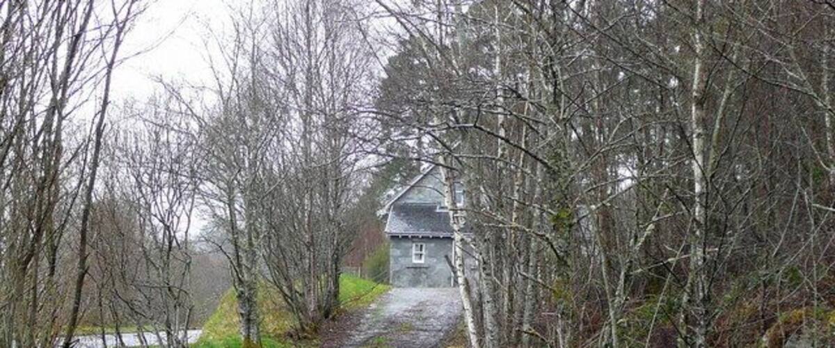 A rural path leading to a house surrounded by leafless trees.