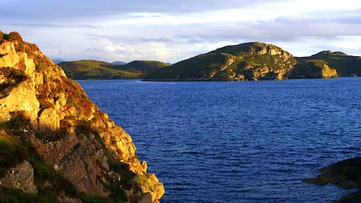 A Walk In The Evening