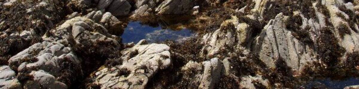 Rubh' a' Choin Mostly sea this square, and a good proportion of the land in the square in the picture. Inverasdale across Loch Ewe in the background.