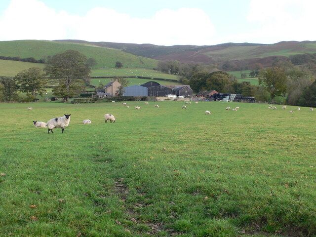 Pentre Farm, Llangynhafal Looking towards Pentre Farm, with the Clwydian Hills as a backdrop.