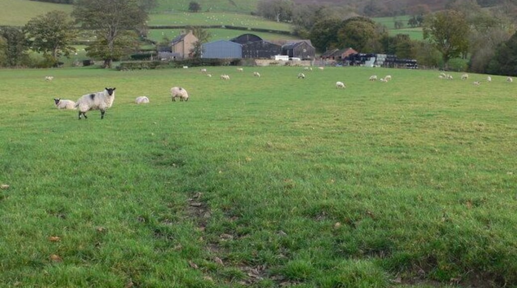 Pentre Farm, Llangynhafal Looking towards Pentre Farm, with the Clwydian Hills as a backdrop.