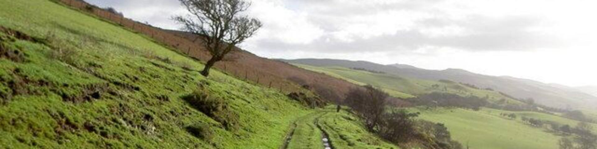 Byway near Penycloddiau The byway, which also makes up part of the Clwydian Way, stretches from the minor road in SJ1366 to the junction of footpaths in SJ1268. Moel Famau is just visible in the background.