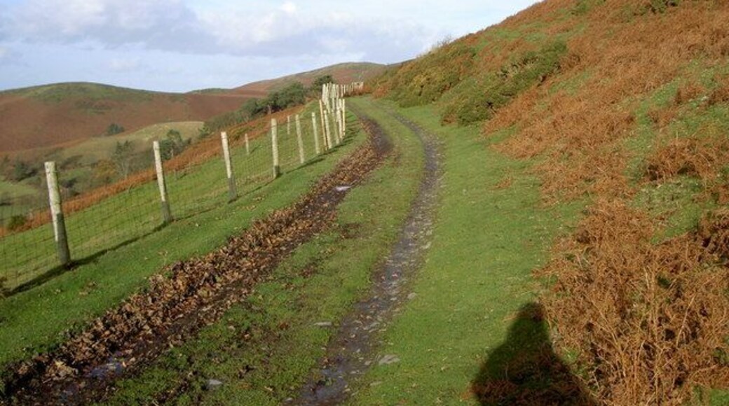 Byway near Penycloddiau The byway, which also makes up part of the Clwydian Way, stretches from the minor road in SJ1366 to the junction of footpaths in SJ1268.