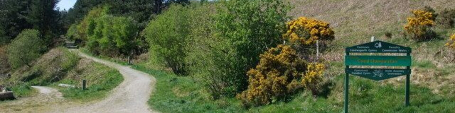 Uma trilha de cascalho serpenteia subindo, ladeada por vegetação e arbustos floridos amarelos.