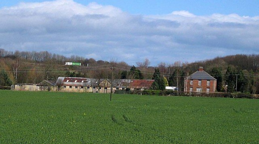 Shincliffe Mill Kennels and Cattery