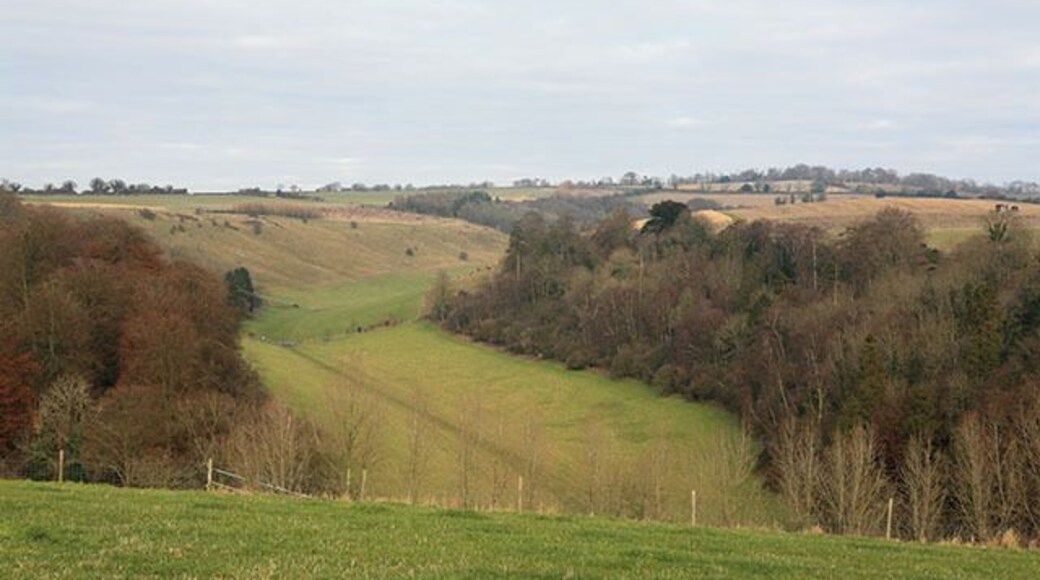 Punch Bowl SW of Beacon Hill. Looking N from permissive path. This is a rather better view of the lower end than my earlier54578. The bowl itself is private property. Beacon Hill can be seen on horizon right.