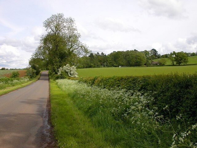 Everdon. Marriots Farm and Brick Field Spinney.
