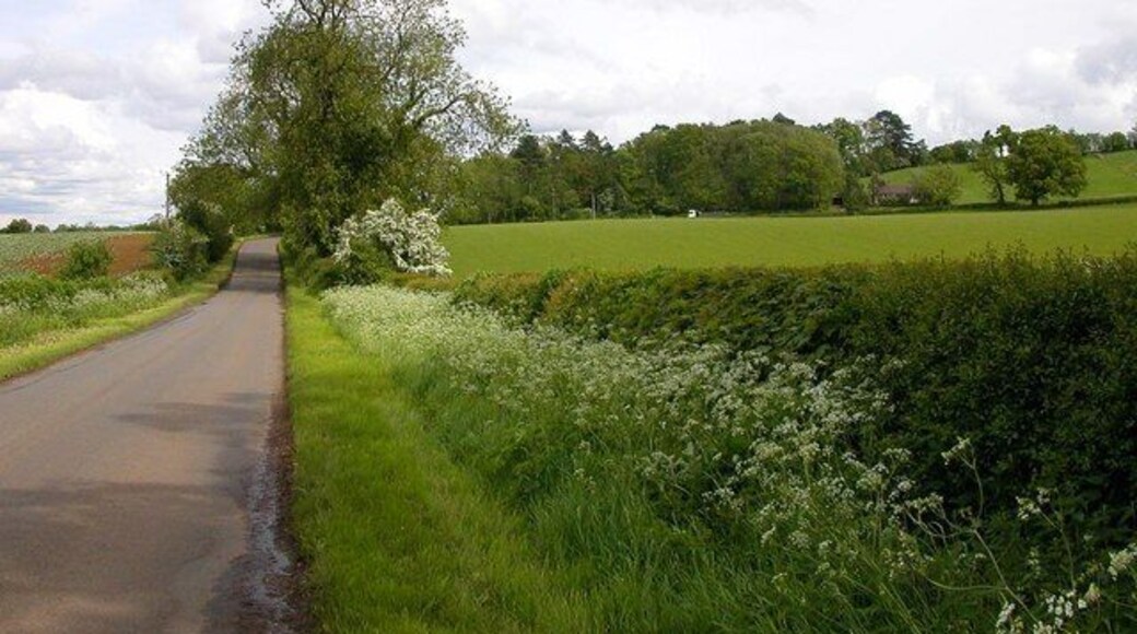 Everdon. Marriots Farm and Brick Field Spinney.
