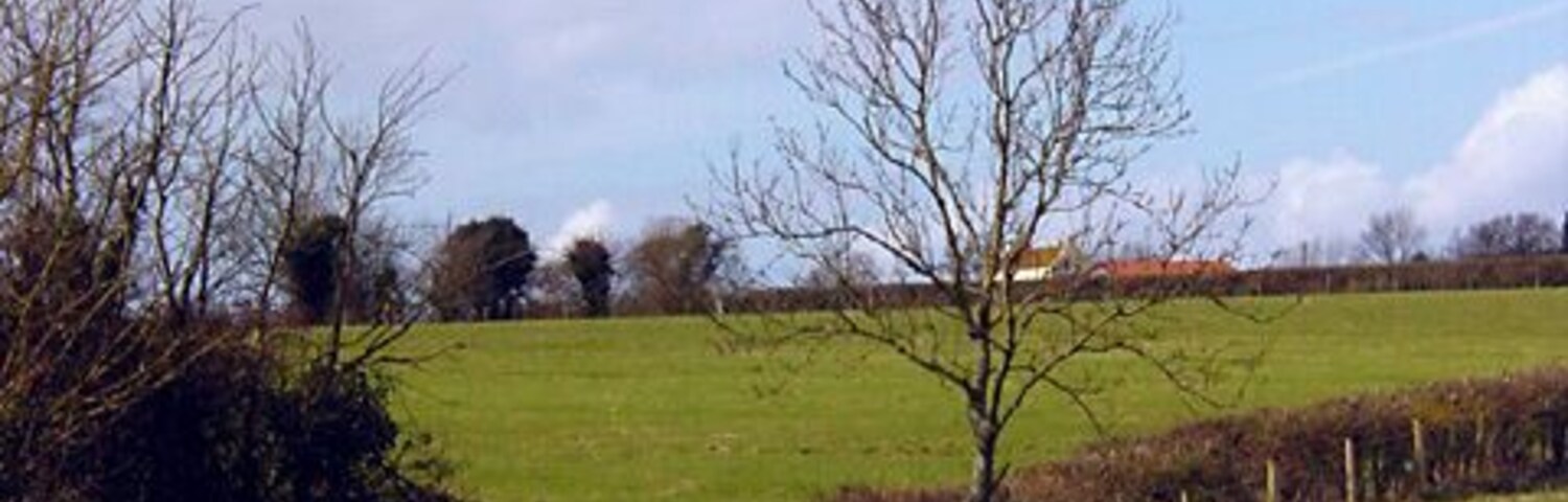 Court Farm, Banwell. Used to be a dairy farm, now they farm a couple of specialist breeds and run a farm open to children.