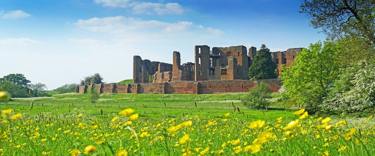 Wild flower meadow in front of Kenilworth Castle , Warwickshire, UK