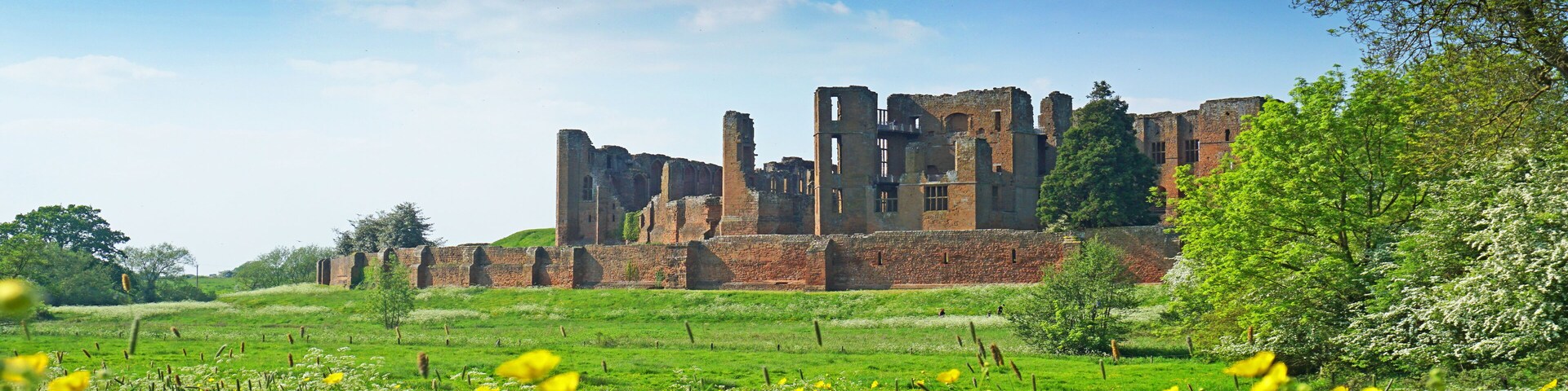 Wild flower meadow in front of Kenilworth Castle , Warwickshire, UK