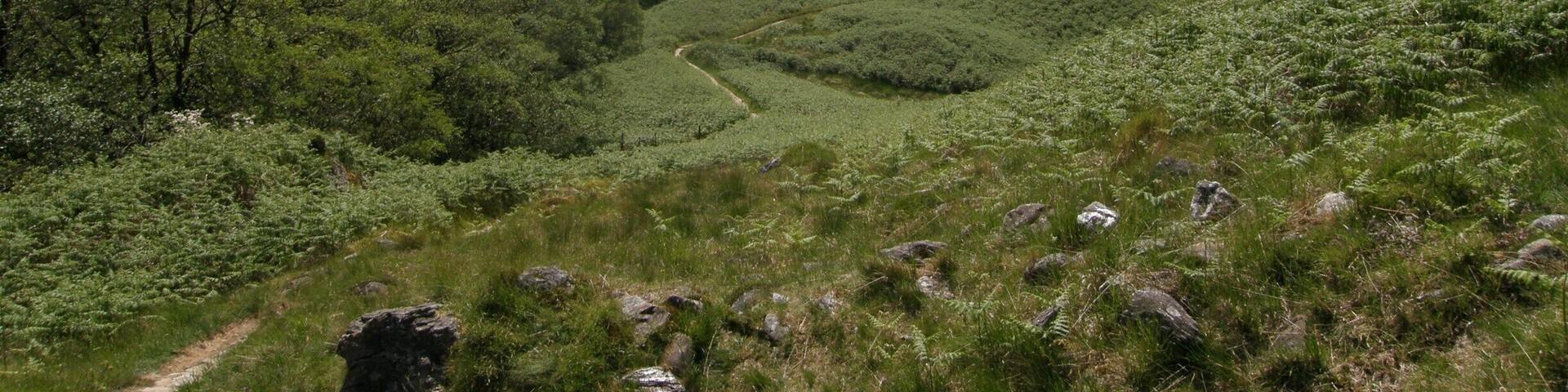 Discover the spectacular landscape of Scotland’s western highlands on the West Highland Way. Towering mountains, tranquil lochs and rushing rivers combine to reward you with a unique and ever changing landscape as you journey 96 miles from Milngavie (Glasgow) to Fort William