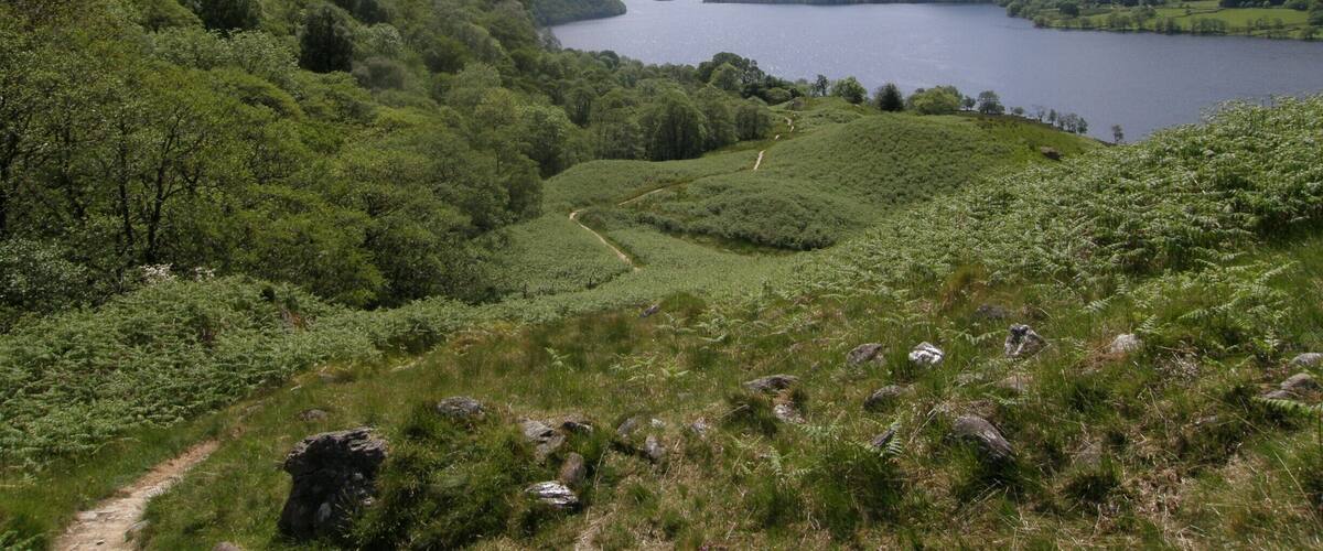 A lake surrounded by lush green hills and a clear sky.