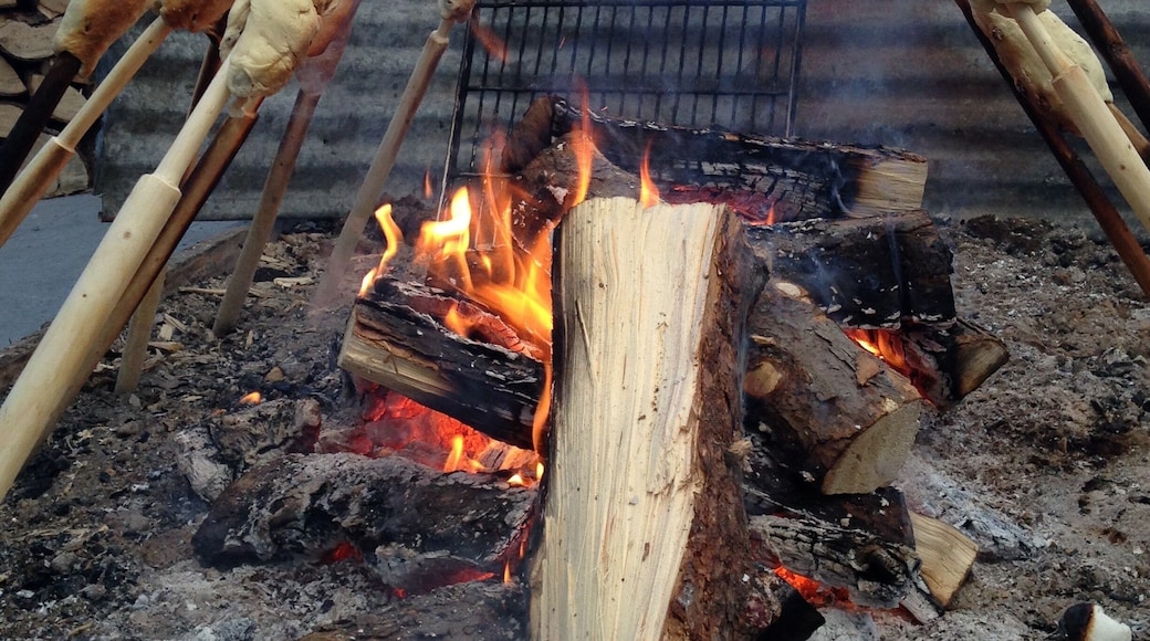 While on a placement in Moose Factory, the locals took us ice fishing. Then they taught us how to make a traditional meal of bannock over an open flame.
Later on we placed the grill over the flames and made a moose meat stew. It was delicious.
#Trovember