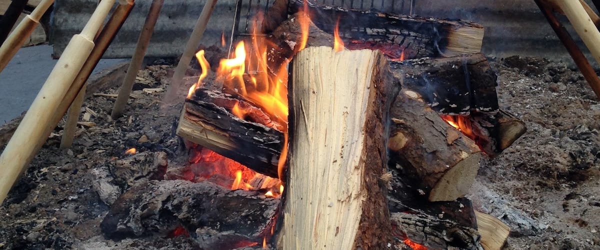 A campfire with several marshmallows on sticks.