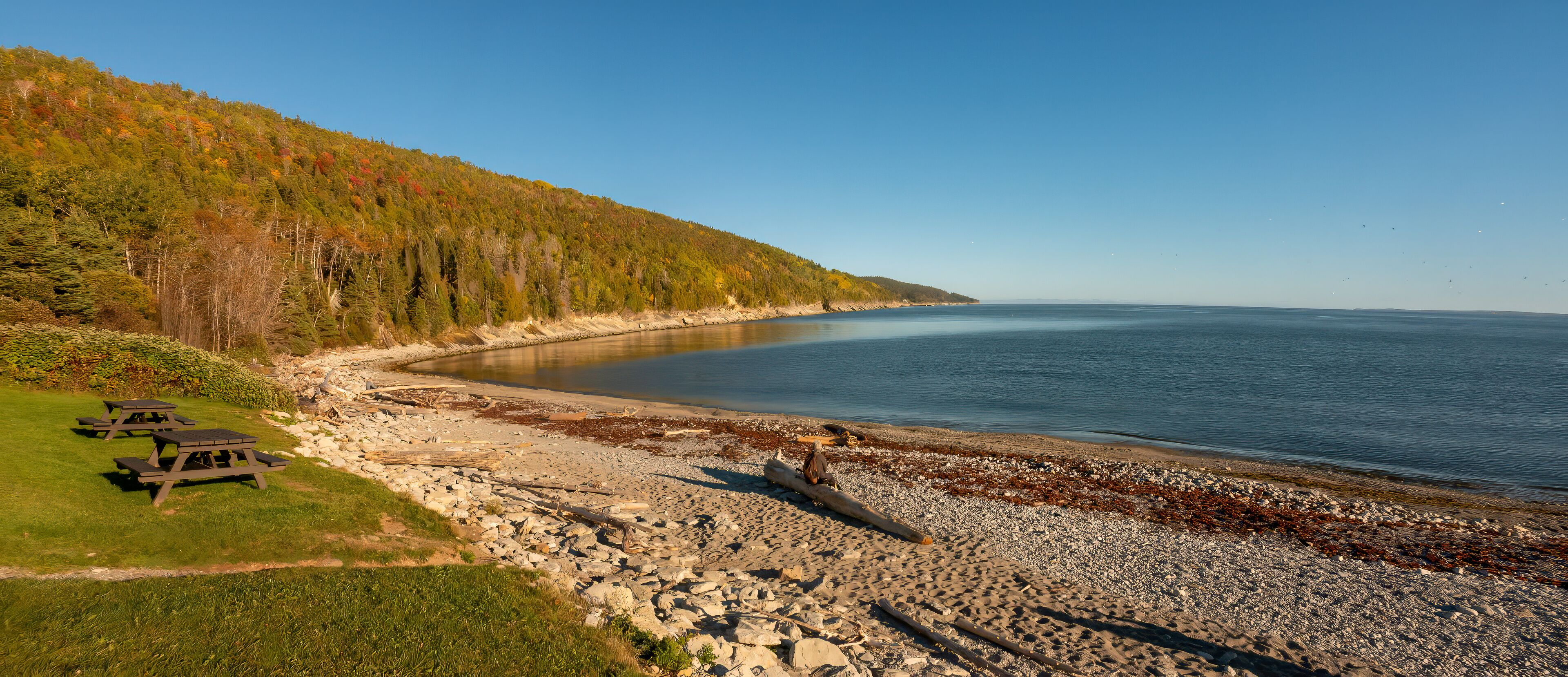 A beach with picnic tables, rocky shoreline, and a forested hill.