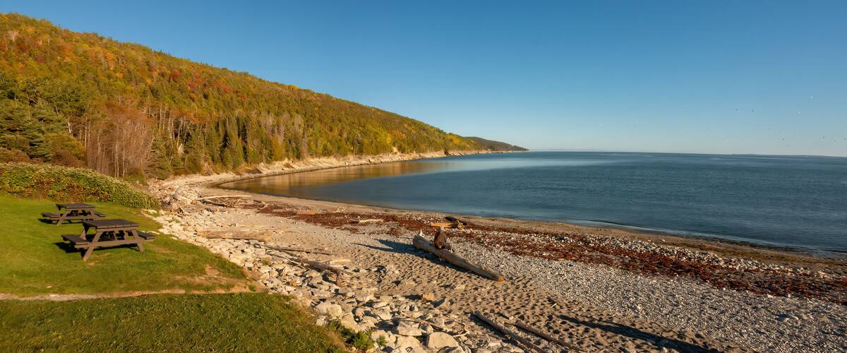A beach with picnic tables, rocky shoreline, and a forested hill.