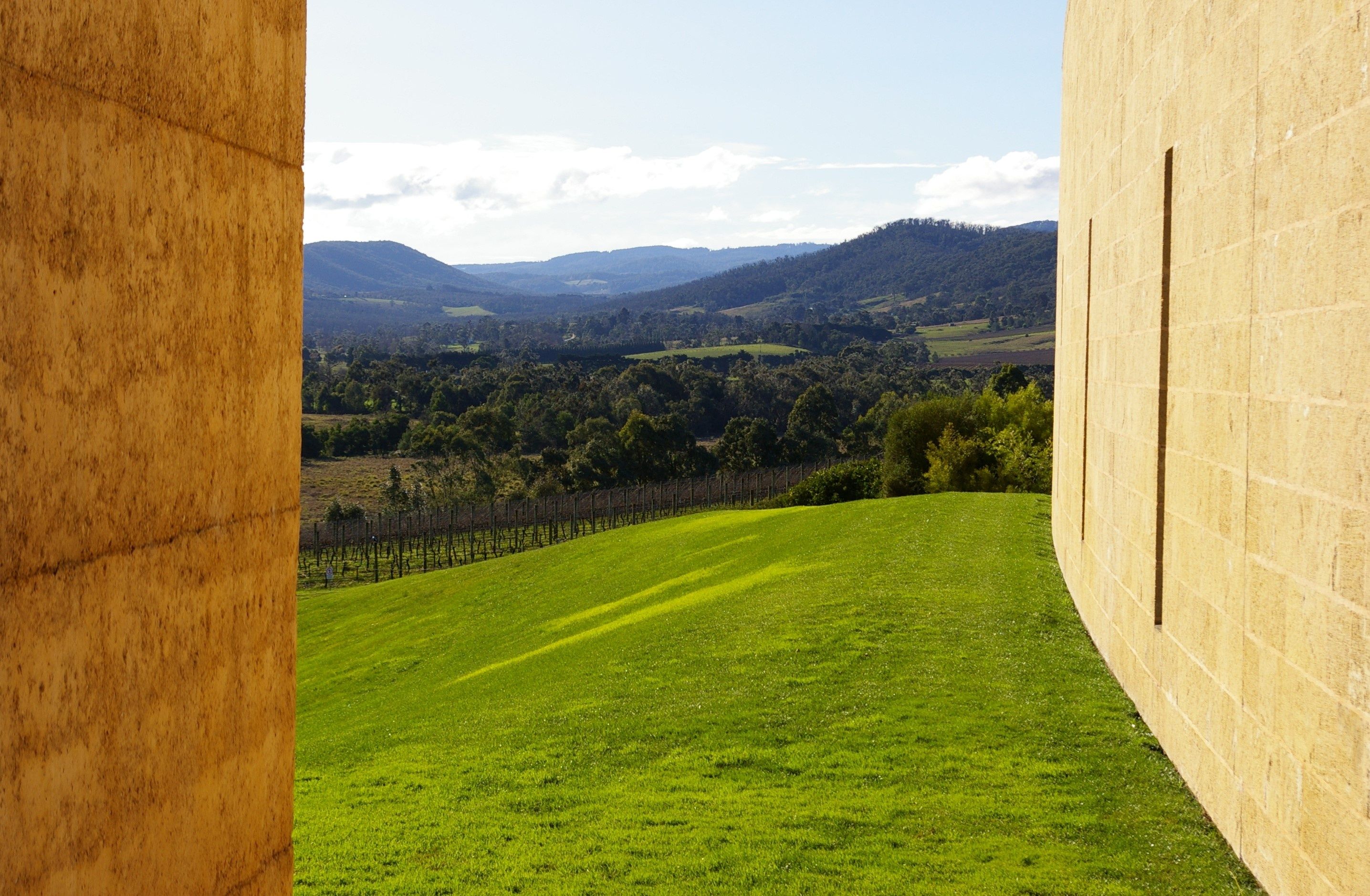 Tarrawarra